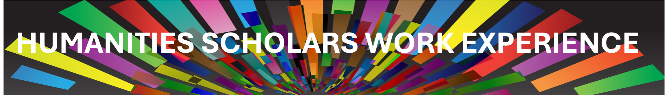 Humanities Scholars Work Experience